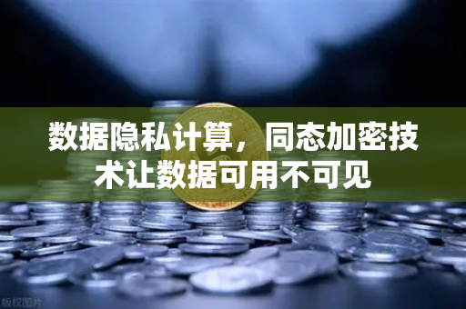 数据隐私计算，同态加密技术让数据可用不可见