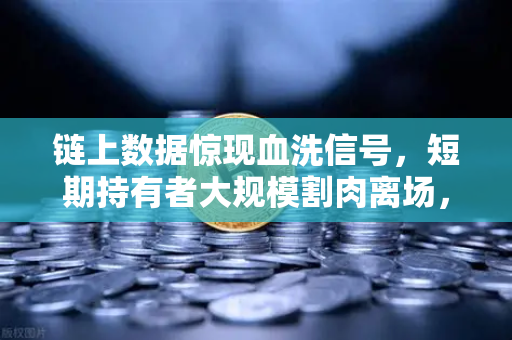 链上数据惊现血洗信号，短期持有者大规模割肉离场，市场底在何方？-第1张图片-欧易交易所