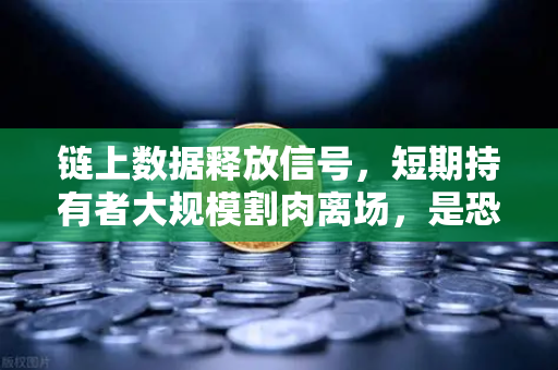 链上数据释放信号,短期持有者大规模割肉离场,是恐慌还是机遇?-第1张图片-欧易交易所 链上数据释放信号,短期持有者大规模割肉离场,是恐慌还是机遇?-第1张图片-欧易交易所