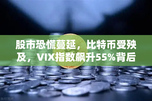 股市恐慌蔓延，比特币受殃及，VIX指数飙升55%背后的币圈蝴蝶效应