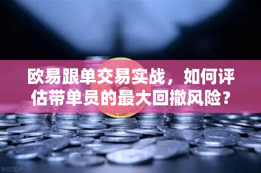 欧易跟单交易实战，如何评估带单员的最大回撤风险？