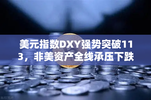 美元指数DXY强势突破113，非美资产全线承压下跌，欧易交易所官网深度解读市场变局