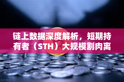 链上数据深度解析,短期持有者(STH)大规模割肉离场,市场风向要变?-第1张图片-欧易交易所 链上数据深度解析,短期持有者(STH)大规模割肉离场,市场风向要变?-第1张图片-欧易交易所