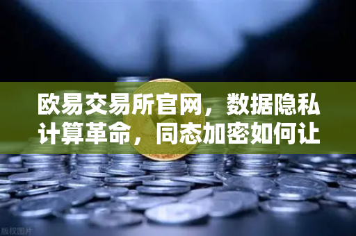 欧易交易所官网，数据隐私计算革命，同态加密如何让数据可用不可见-第1张图片-欧易交易所