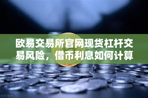 欧易交易所官网现货杠杆交易风险，借币利息如何计算？一文讲透
