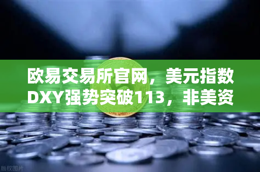欧易交易所官网，美元指数DXY强势突破113，非美资产全线承压下跌，投资者如何应对？-第1张图片-欧易交易所