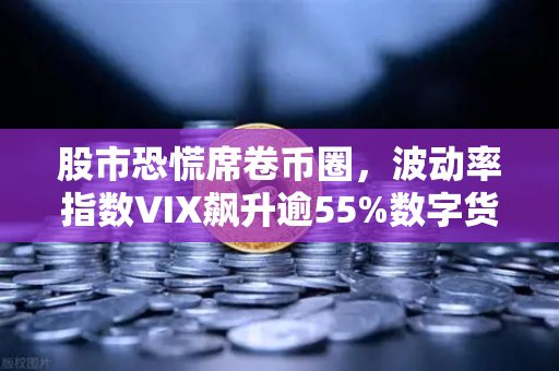 股市恐慌席卷币圈，波动率指数VIX飙升逾55%数字货币市场何去何从？
