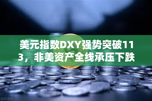 美元指数DXY强势突破113，非美资产全线承压下跌—欧易交易所官网深度解析