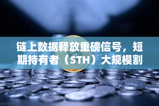链上数据释放重磅信号，短期持有者（STH）大规模割肉离场，市场底部信号已现？