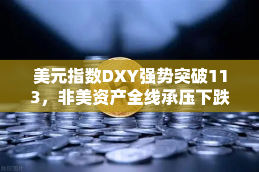 美元指数DXY强势突破113，非美资产全线承压下跌，欧易交易所官网深度解析市场动态与投资策略