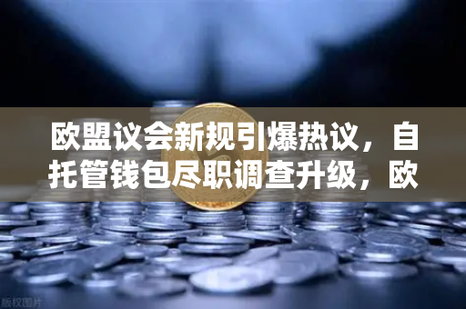 欧盟议会新规引爆热议,自托管钱包尽职调查升级,欧易交易所如何应对?-第1张图片-欧易交易所 欧盟议会新规引爆热议,自托管钱包尽职调查升级,欧易交易所如何应对?-第1张图片-欧易交易所