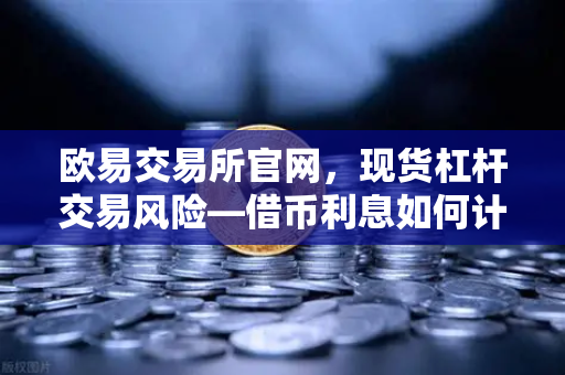 欧易交易所官网,现货杠杆交易风险—借币利息如何计算?-第1张图片-欧易交易所 欧易交易所官网,现货杠杆交易风险—借币利息如何计算?-第1张图片-欧易交易所