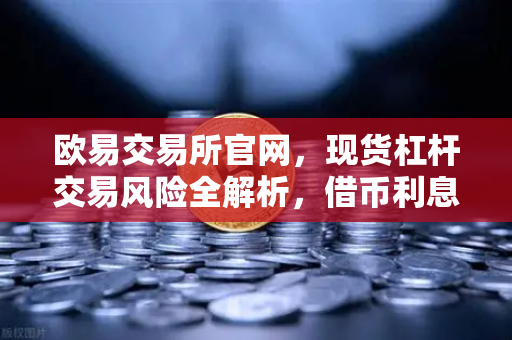欧易交易所官网，现货杠杆交易风险全解析，借币利息如何计算？
