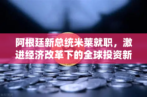 阿根廷新总统米莱就职,激进经济改革下的全球投资新风口-第1张图片-欧易交易所 阿根廷新总统米莱就职,激进经济改革下的全球投资新风口-第1张图片-欧易交易所