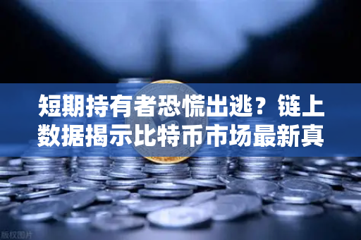 短期持有者恐慌出逃？链上数据揭示比特币市场最新真相-第1张图片-欧易交易所