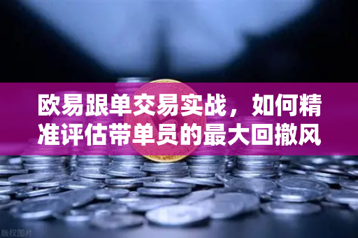 欧易跟单交易实战，如何精准评估带单员的最大回撤风险？