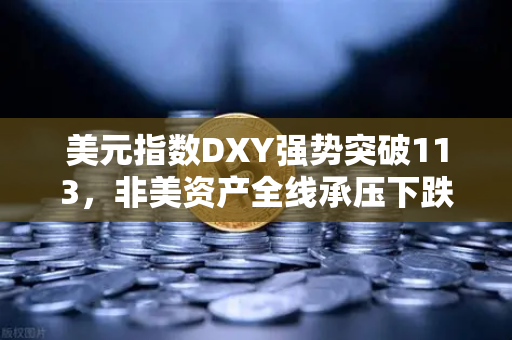 美元指数DXY强势突破113，非美资产全线承压下跌，投资者如何应对？