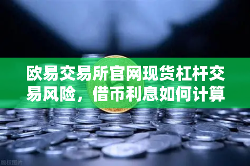 欧易交易所官网现货杠杆交易风险，借币利息如何计算？一文讲清成本与避坑指南-第1张图片-欧易交易所