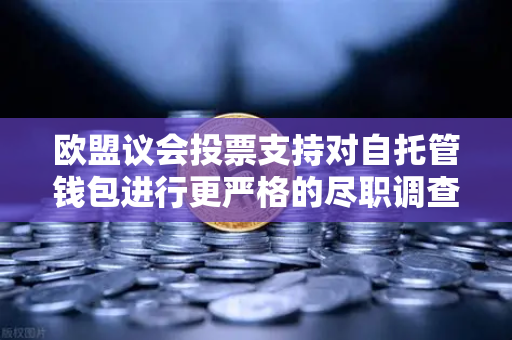 欧盟议会投票支持对自托管钱包进行更严格的尽职调查,加密世界的新变局-第1张图片-欧易交易所 欧盟议会投票支持对自托管钱包进行更严格的尽职调查,加密世界的新变局-第1张图片-欧易交易所