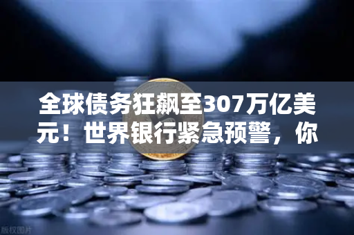 全球债务狂飙至307万亿美元！世界银行紧急预警，你的钱袋子还安全吗？