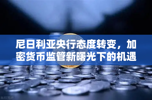 尼日利亚央行态度转变，加密货币监管新曙光下的机遇与挑战