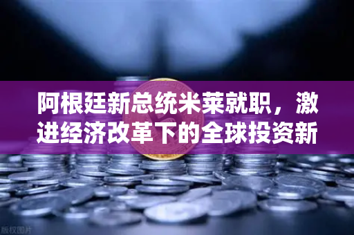 阿根廷新总统米莱就职，激进经济改革下的全球投资新机遇