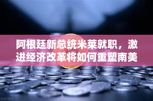 阿根廷新总统米莱就职，激进经济改革将如何重塑南美格局？