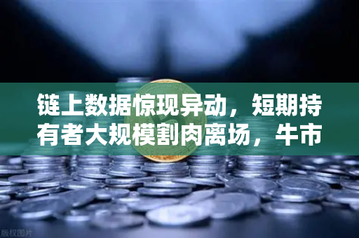 链上数据惊现异动，短期持有者大规模割肉离场，牛市见顶还是洗盘？