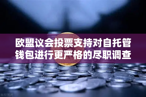 欧盟议会投票支持对自托管钱包进行更严格的尽职调查，这对加密货币用户意味着什么？