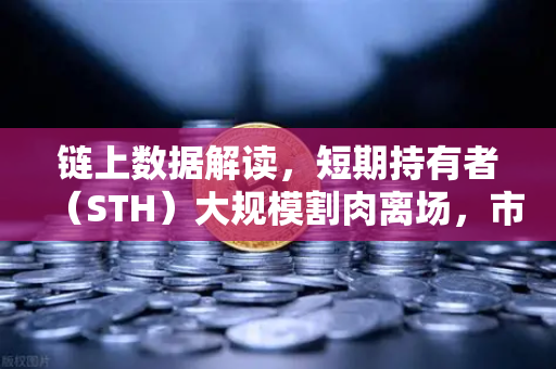 链上数据解读，短期持有者（STH）大规模割肉离场，市场底部信号已现？