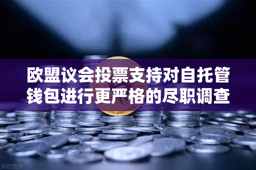 欧盟议会投票支持对自托管钱包进行更严格的尽职调查，加密货币监管新风向