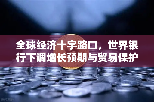 全球经济十字路口，世界银行下调增长预期与贸易保护主义抬头下的投资新思维