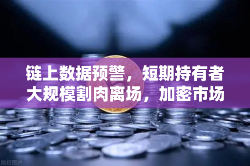 链上数据预警，短期持有者大规模割肉离场，加密市场何去何从？